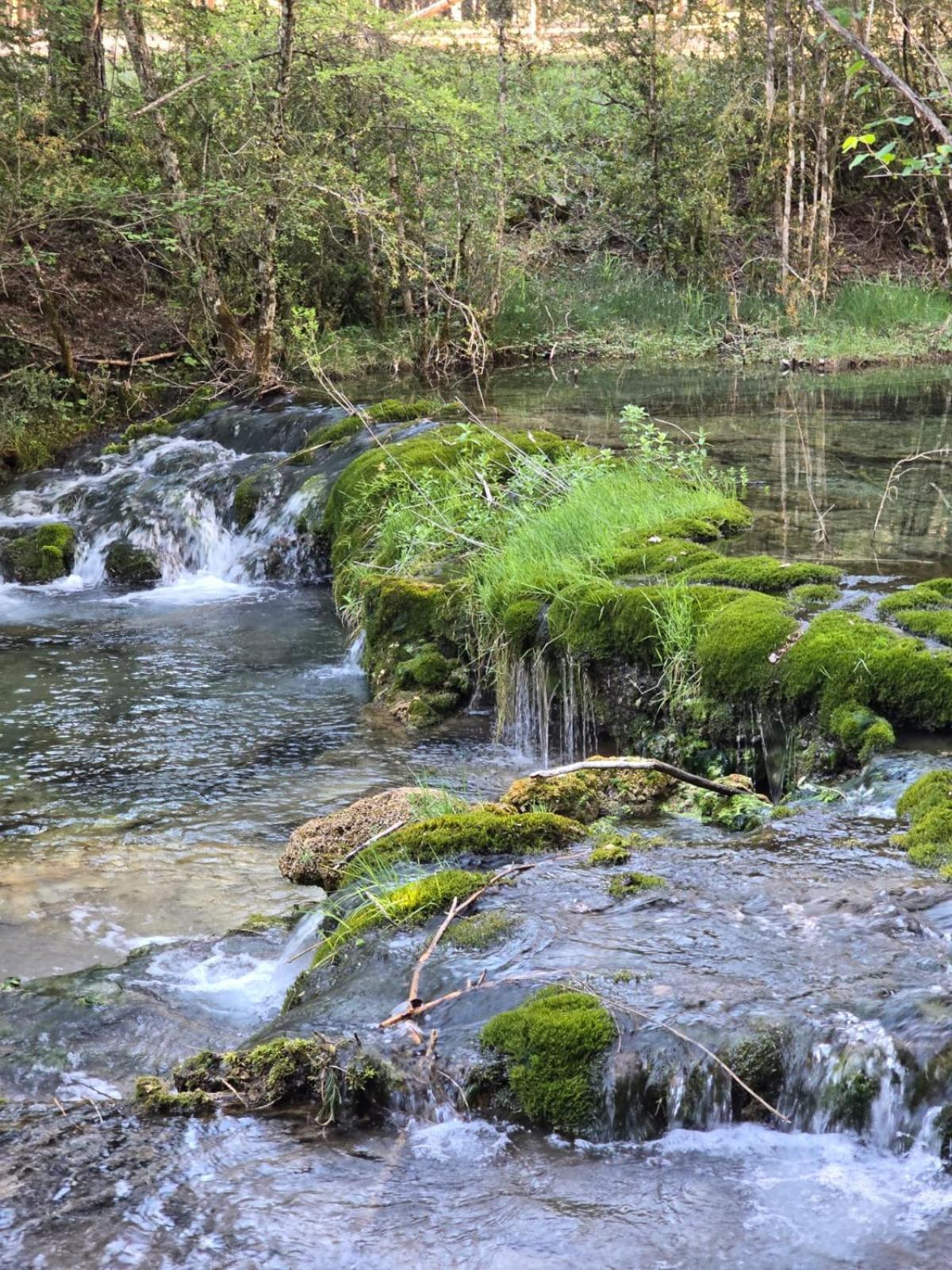 Hostal Rural Alto Tajo Poveda Poveda de la Sierra Kültér fotó