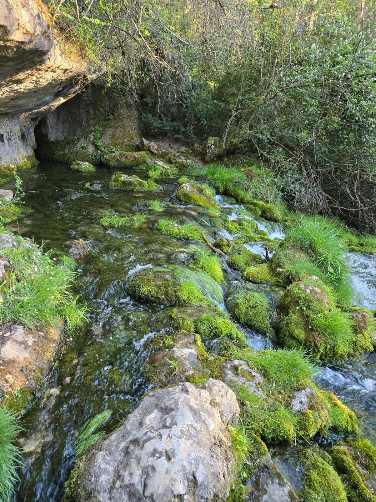 Hostal Rural Alto Tajo Poveda Poveda de la Sierra Kültér fotó